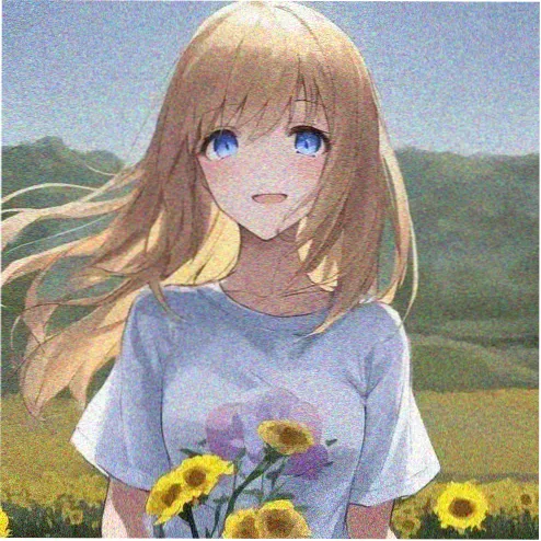 剧迷小雅